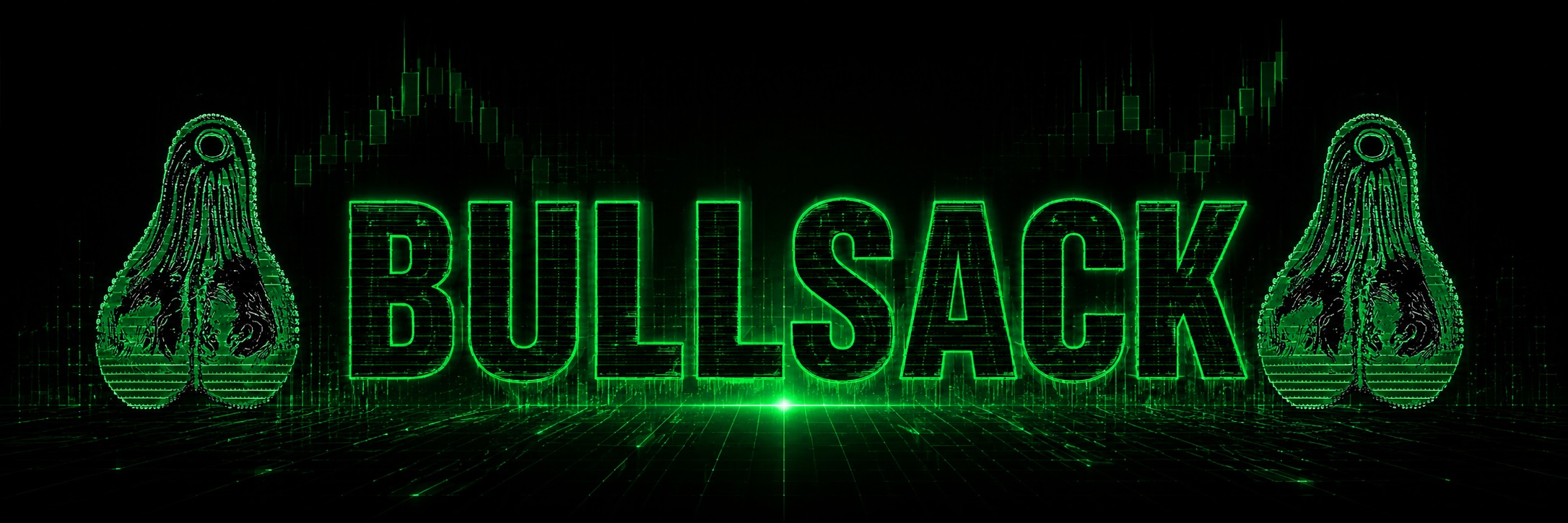 BULLSACK cyber banner